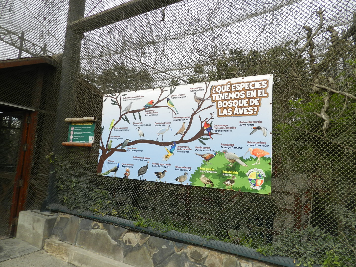 Bosque de las aves - Parque Zoológico Huachipa