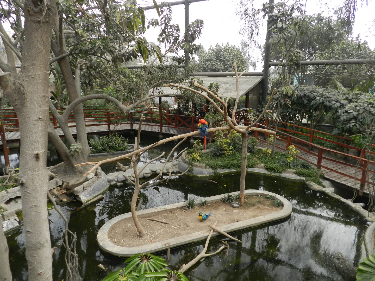 Bosque de las aves - Parque Zoológico Huachipa