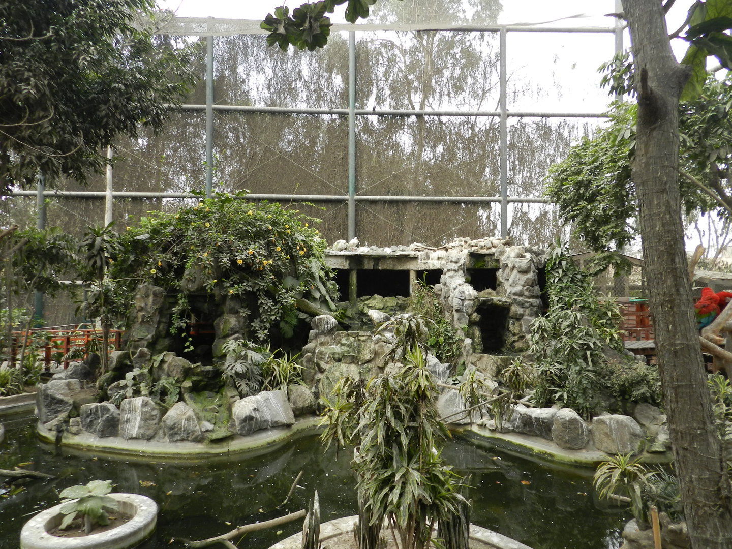 Bosque de las aves - Parque Zoológico Huachipa