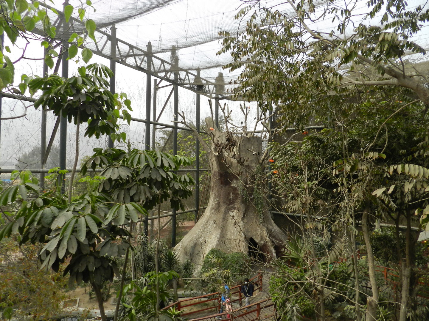 Bosque de las aves - Parque Zoológico Huachipa