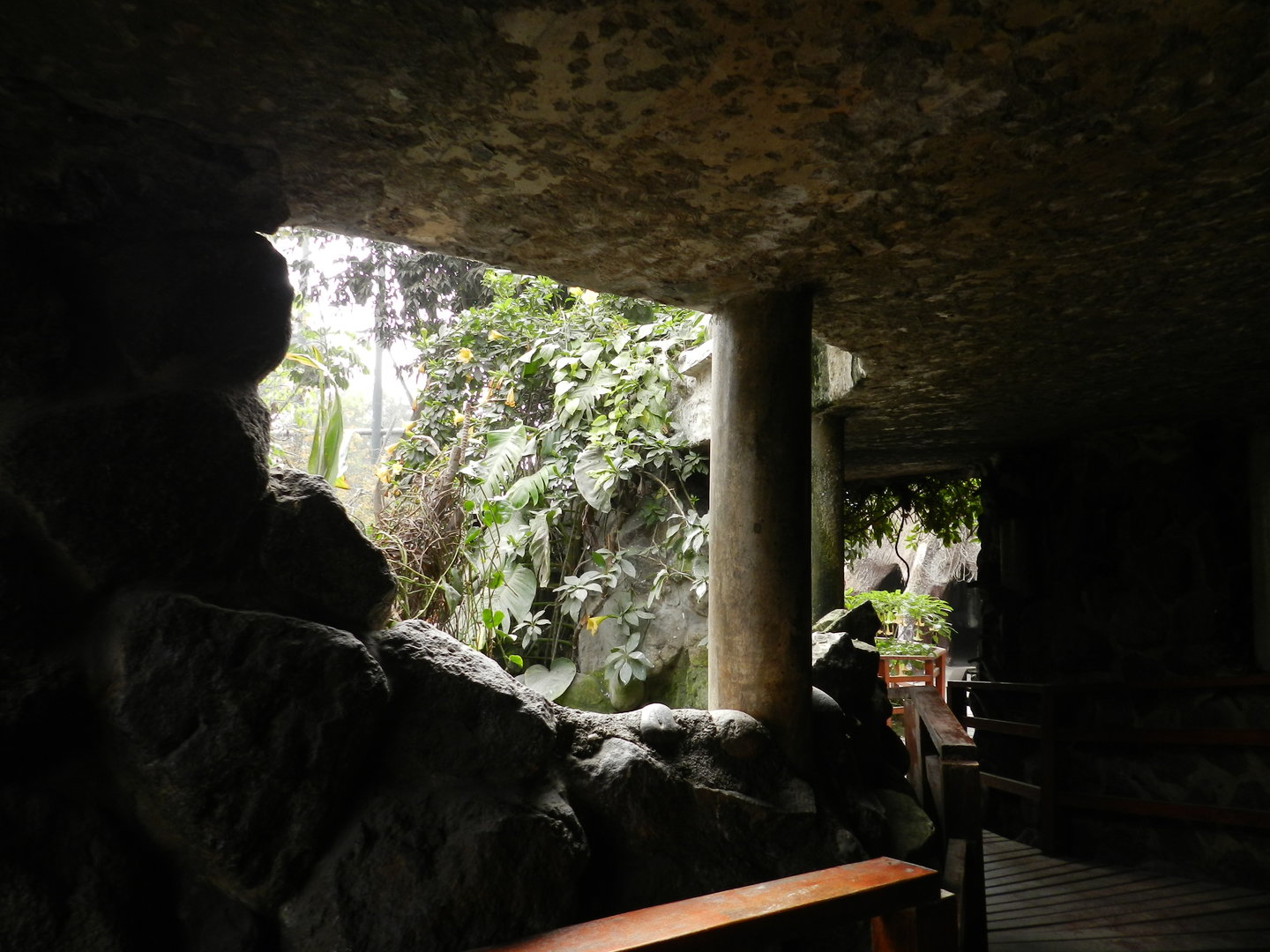 Bosque de las aves - Parque Zoológico Huachipa