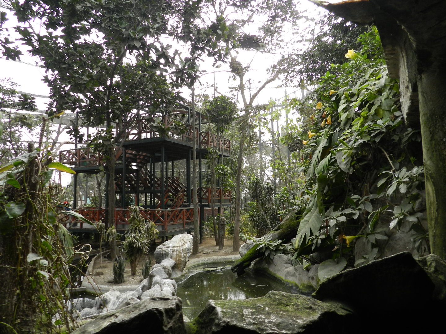Bosque de las aves - Parque Zoológico Huachipa