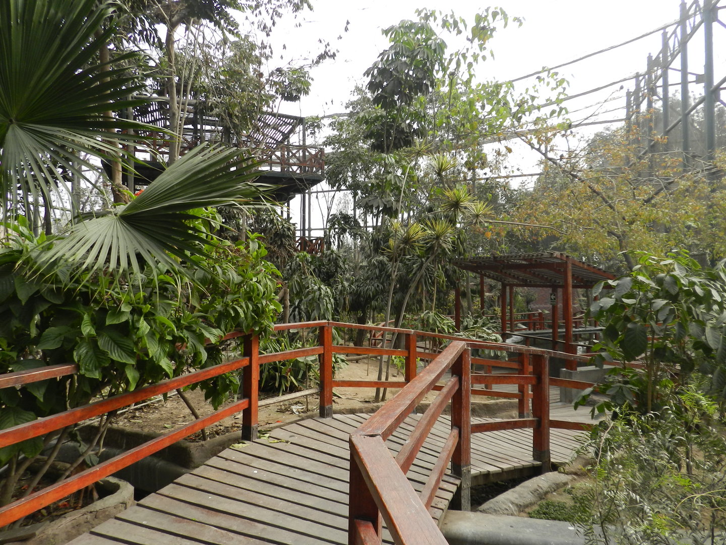 Bosque de las aves - Parque Zoológico Huachipa