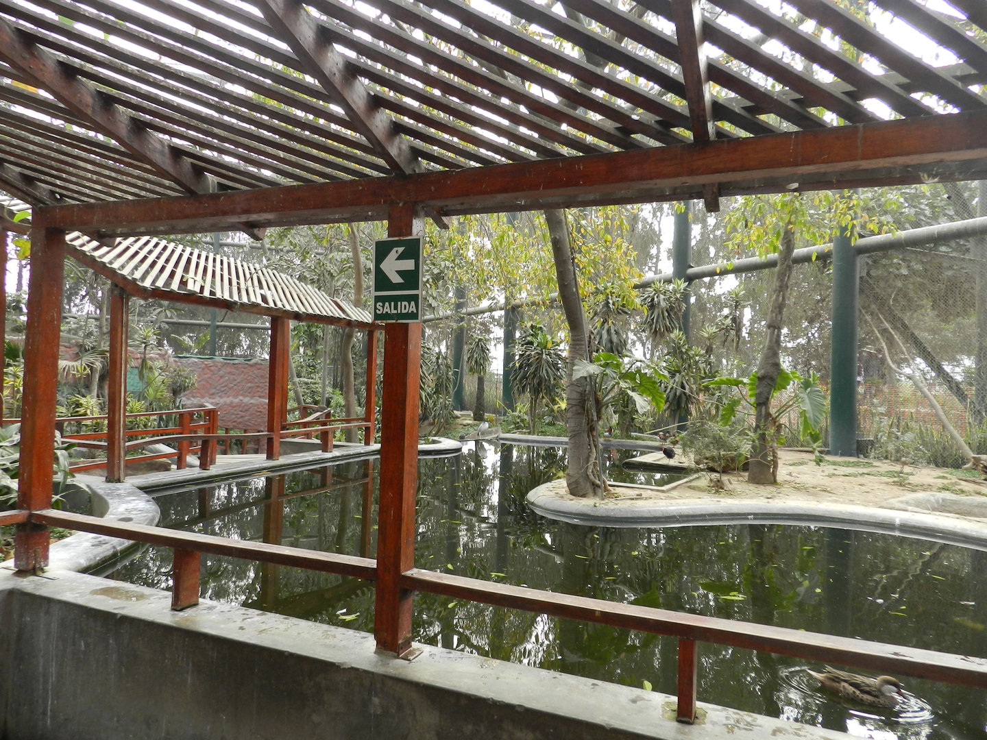 Bosque de las aves - Parque Zoológico Huachipa