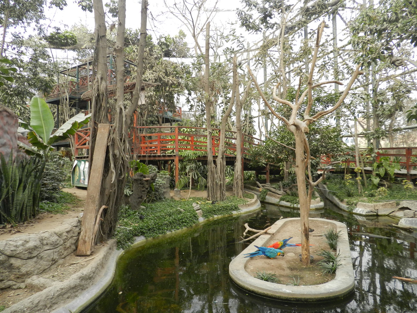 Bosque de las aves - Parque Zoológico Huachipa