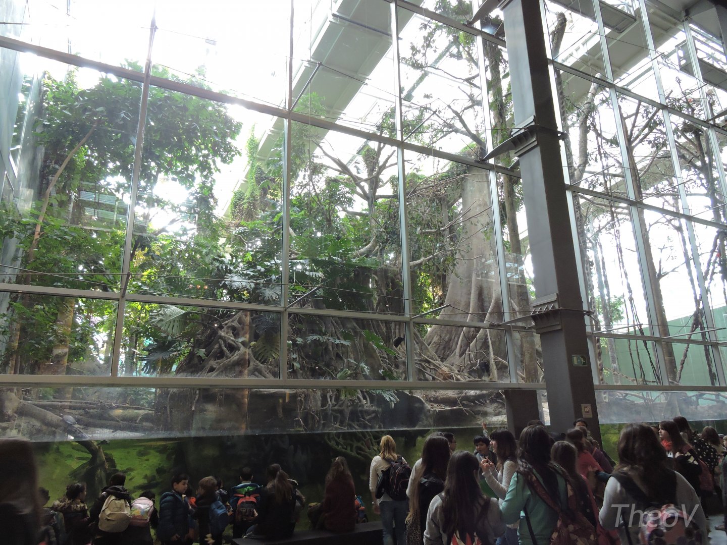 Bosque Inundado [2015]