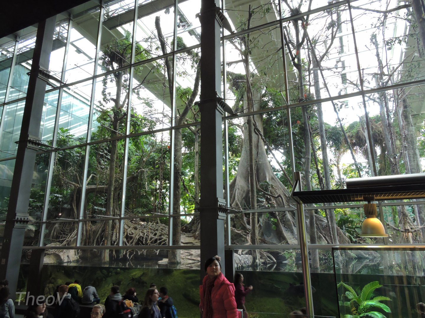 Bosque Inundado [2015]