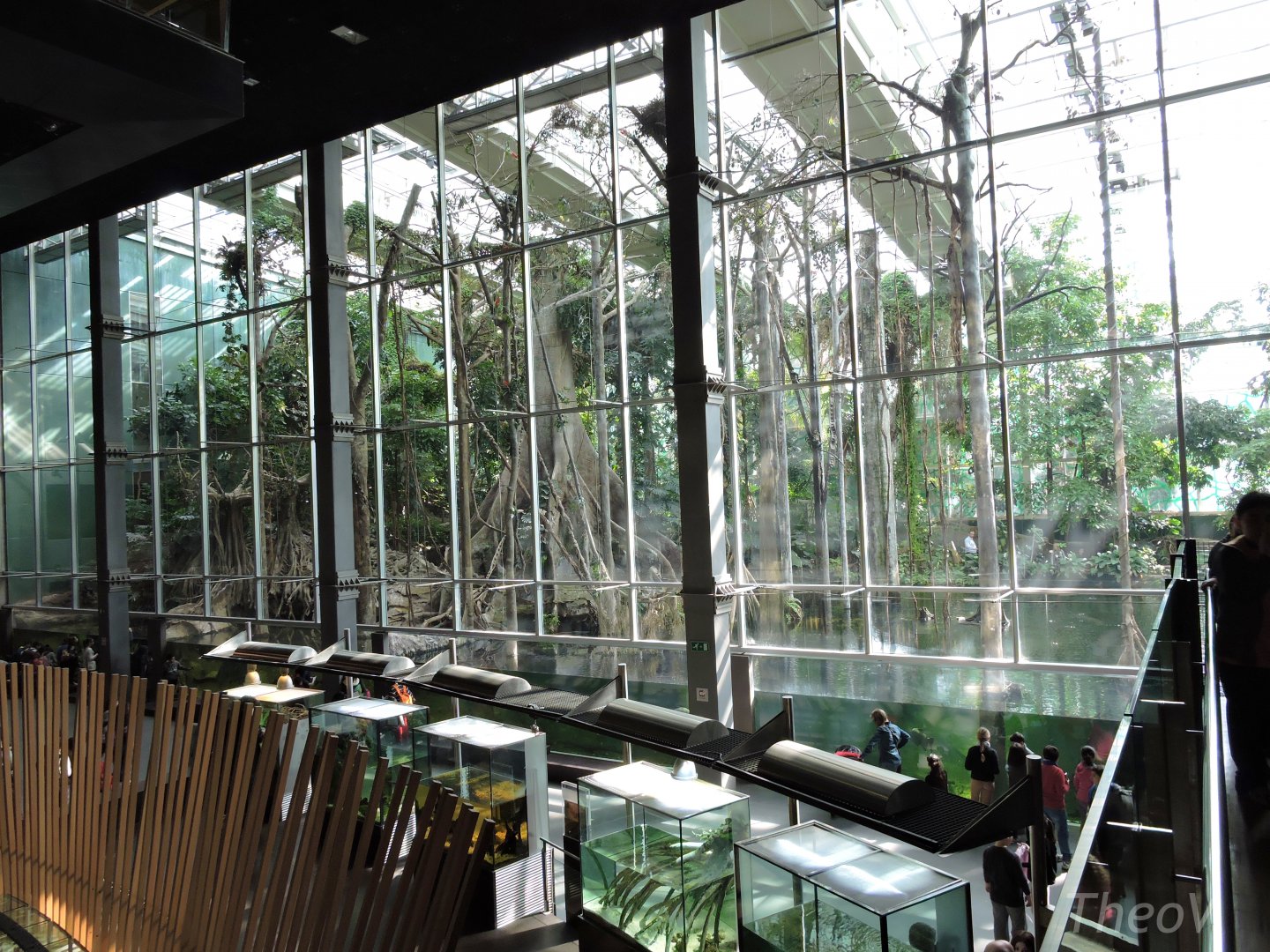 Bosque Inundado [2015]