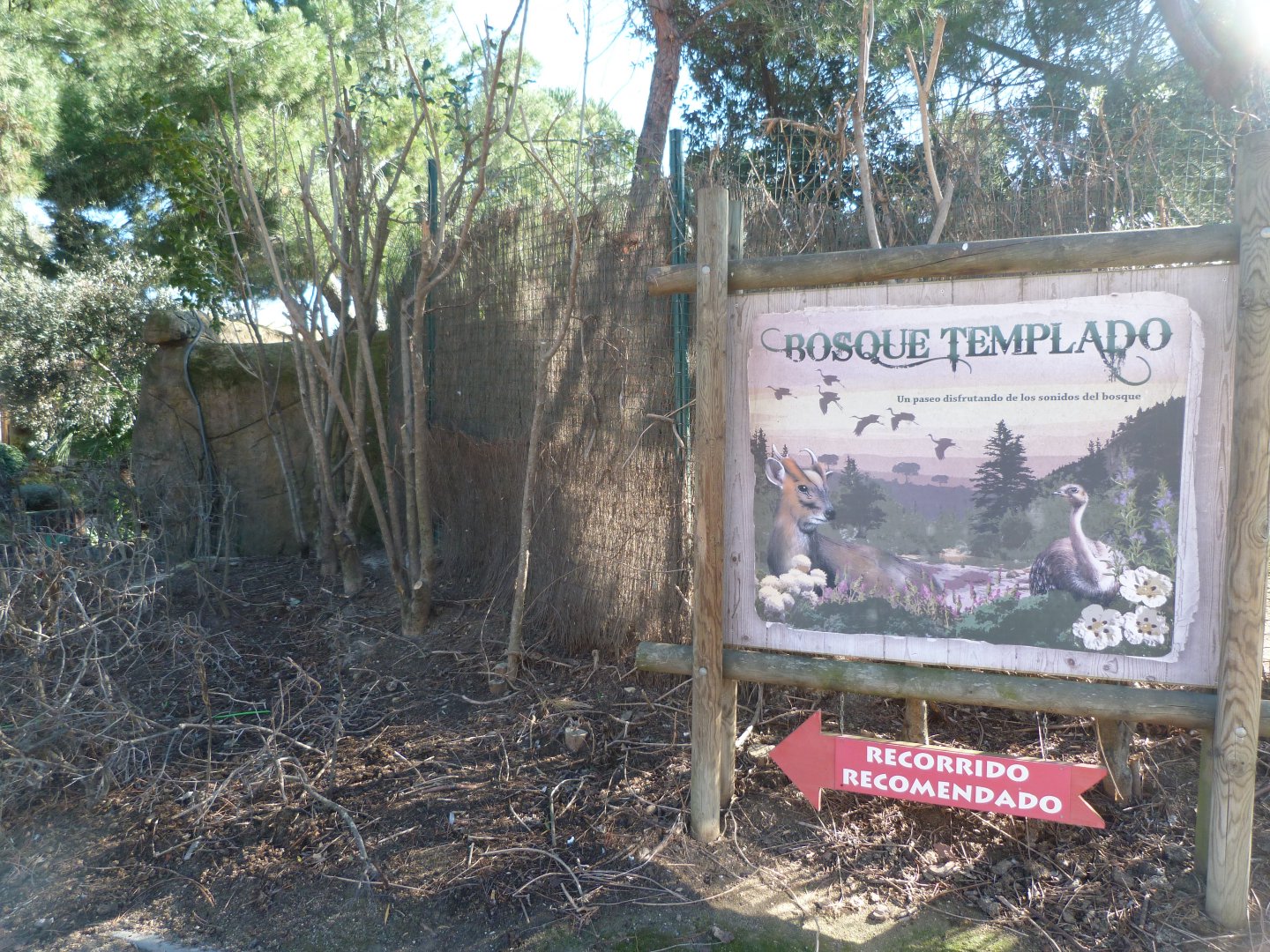 "Bosque templado" entrance -Faunia (2025)