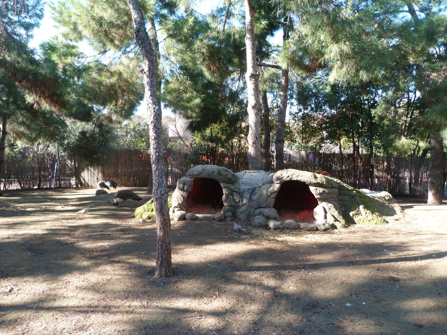 "Bosque templado" separate exhibit -Faunia (2025)