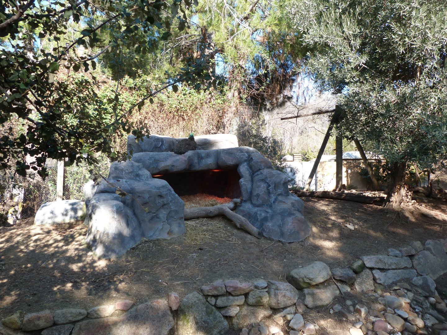 "Bosque templado" walkthrough exhibit -Faunia (2025)