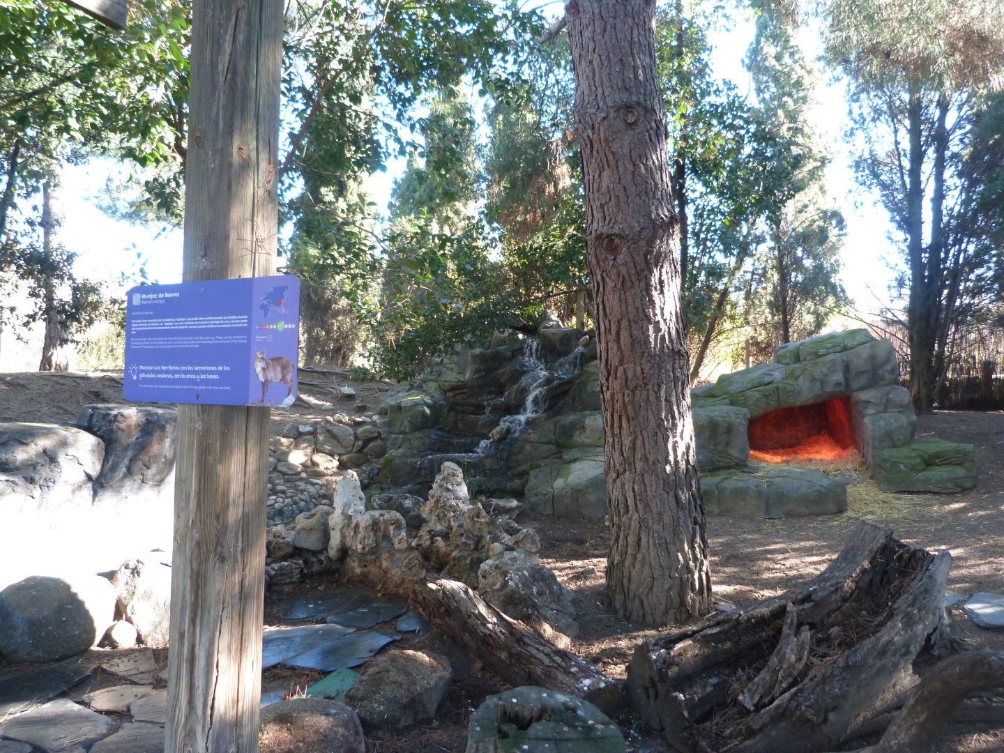 "Bosque templado" walkthrough exhibit -Faunia (2025)