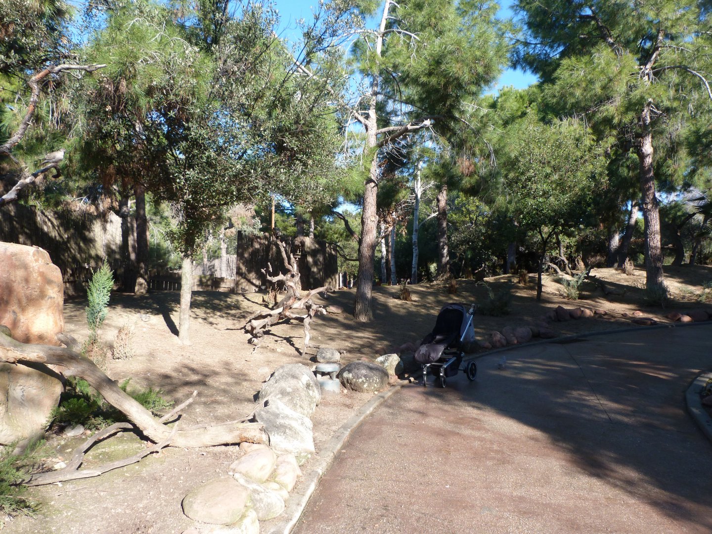 "Bosque templado" walkthrough exhibit -Faunia (2025)