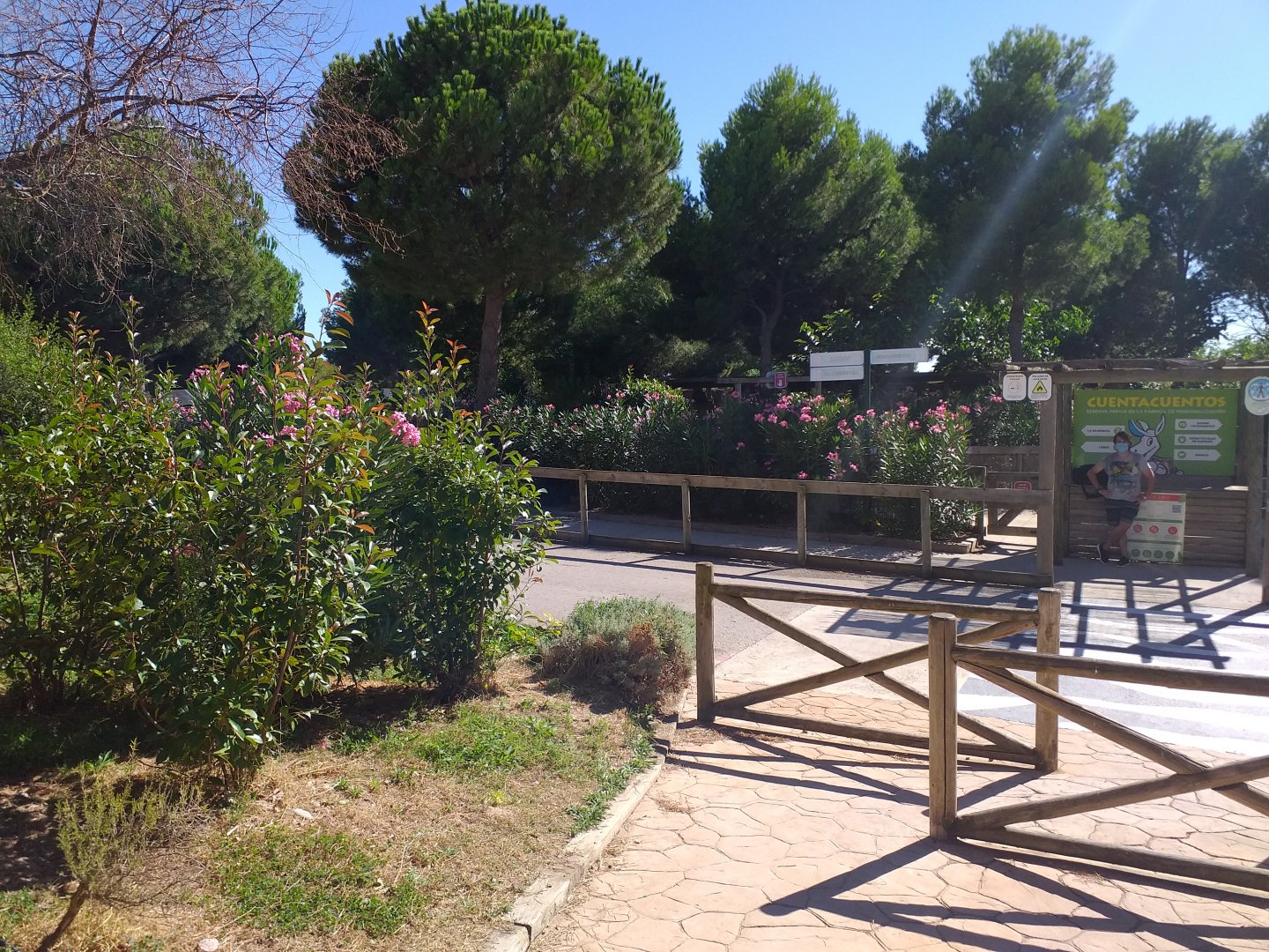 "Bosque" view -Sendaviva (2020)