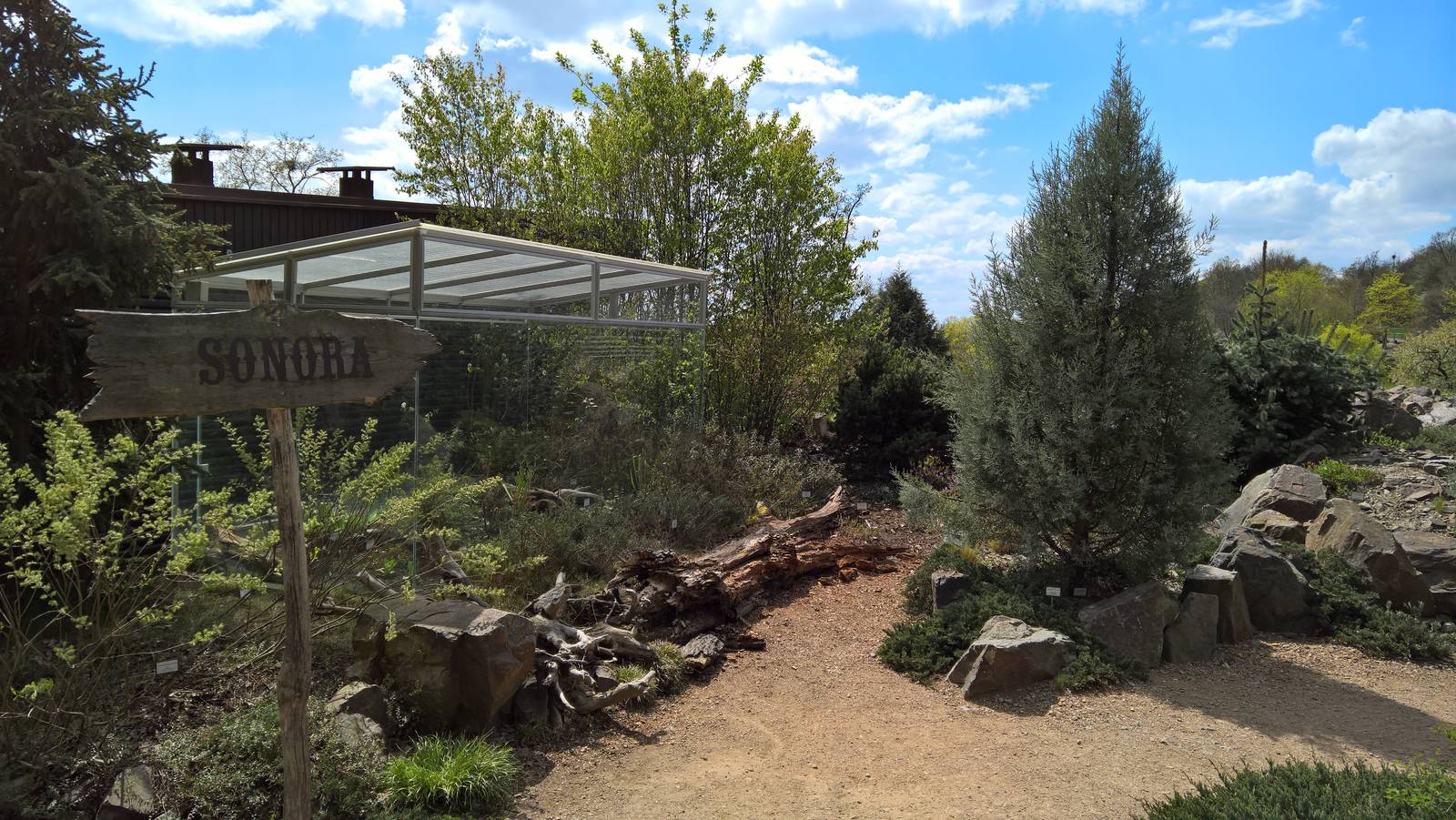 Botanical garden outside the Sonora pavilion