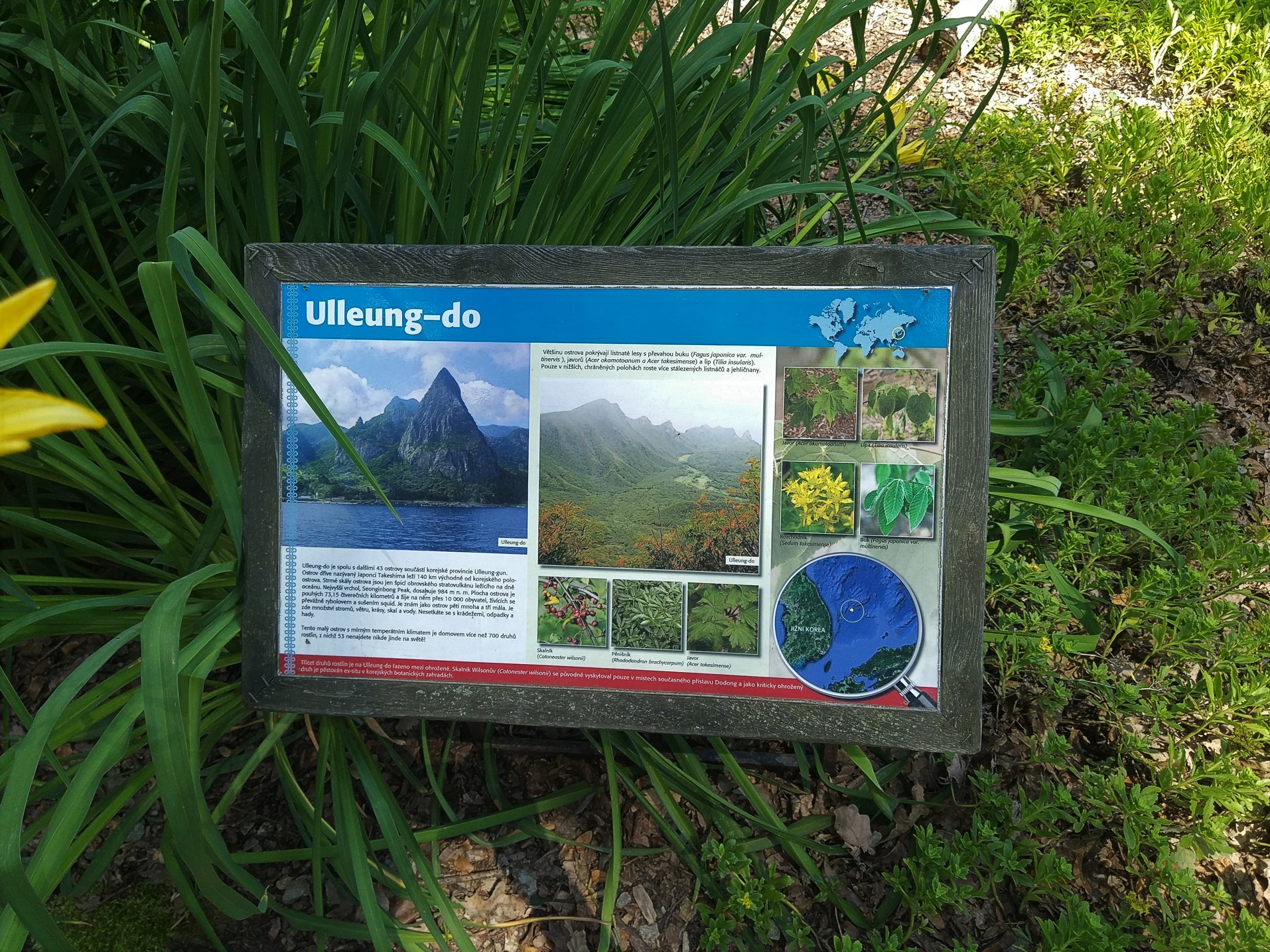 Botanical Signage