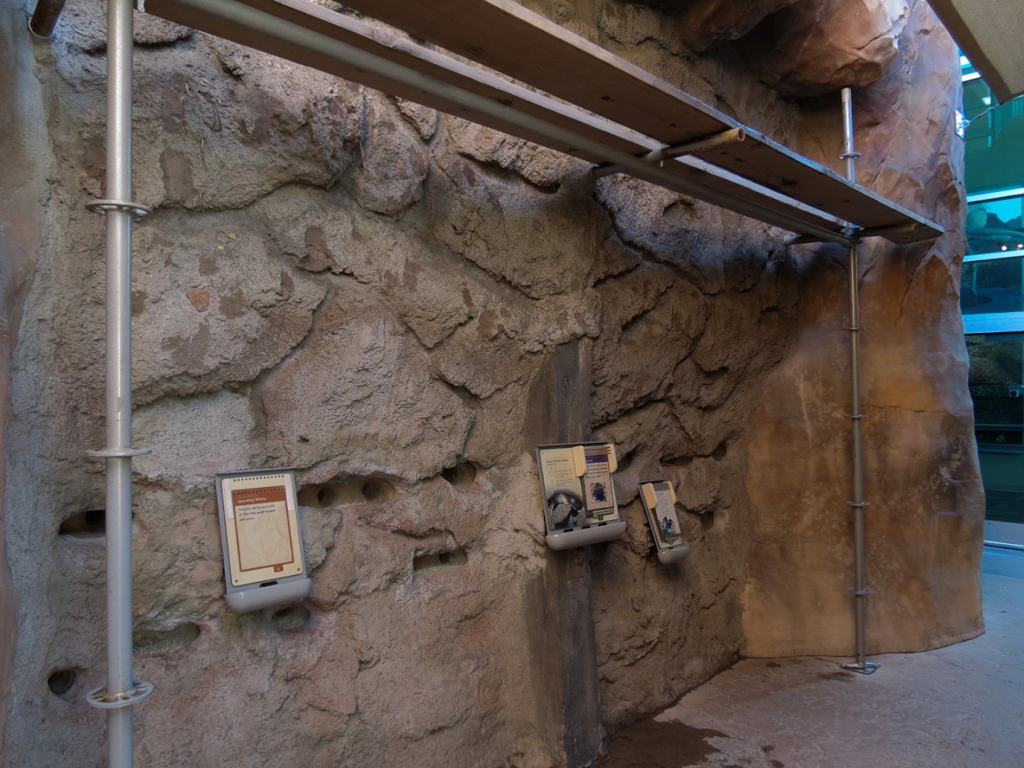 Botta's Pocket Gopher and Desert Tarantula Exhibits