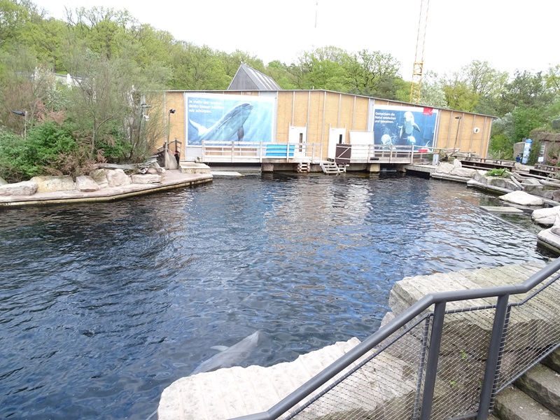 Bottle-nosed dolphin enclosure