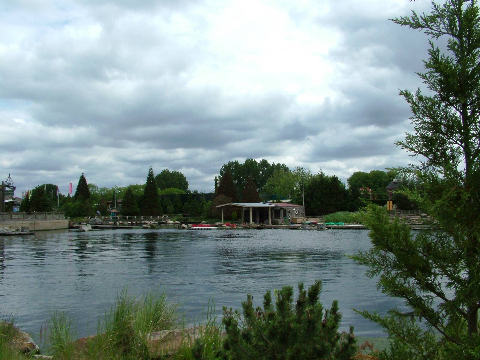Bottle-nosed Dolphin Exhibit at Harderwijk, 01/06/12