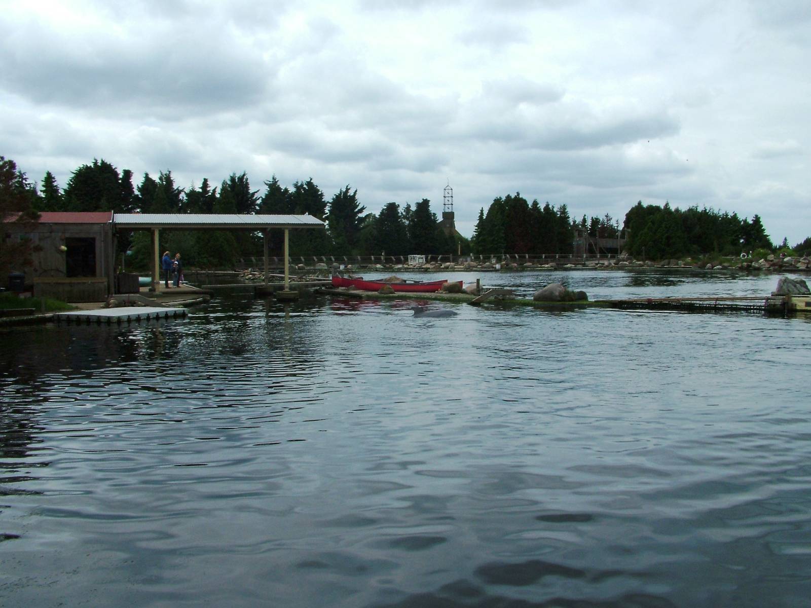 Bottle-nosed Dolphin Exhibit at Harderwijk, 01/06/12