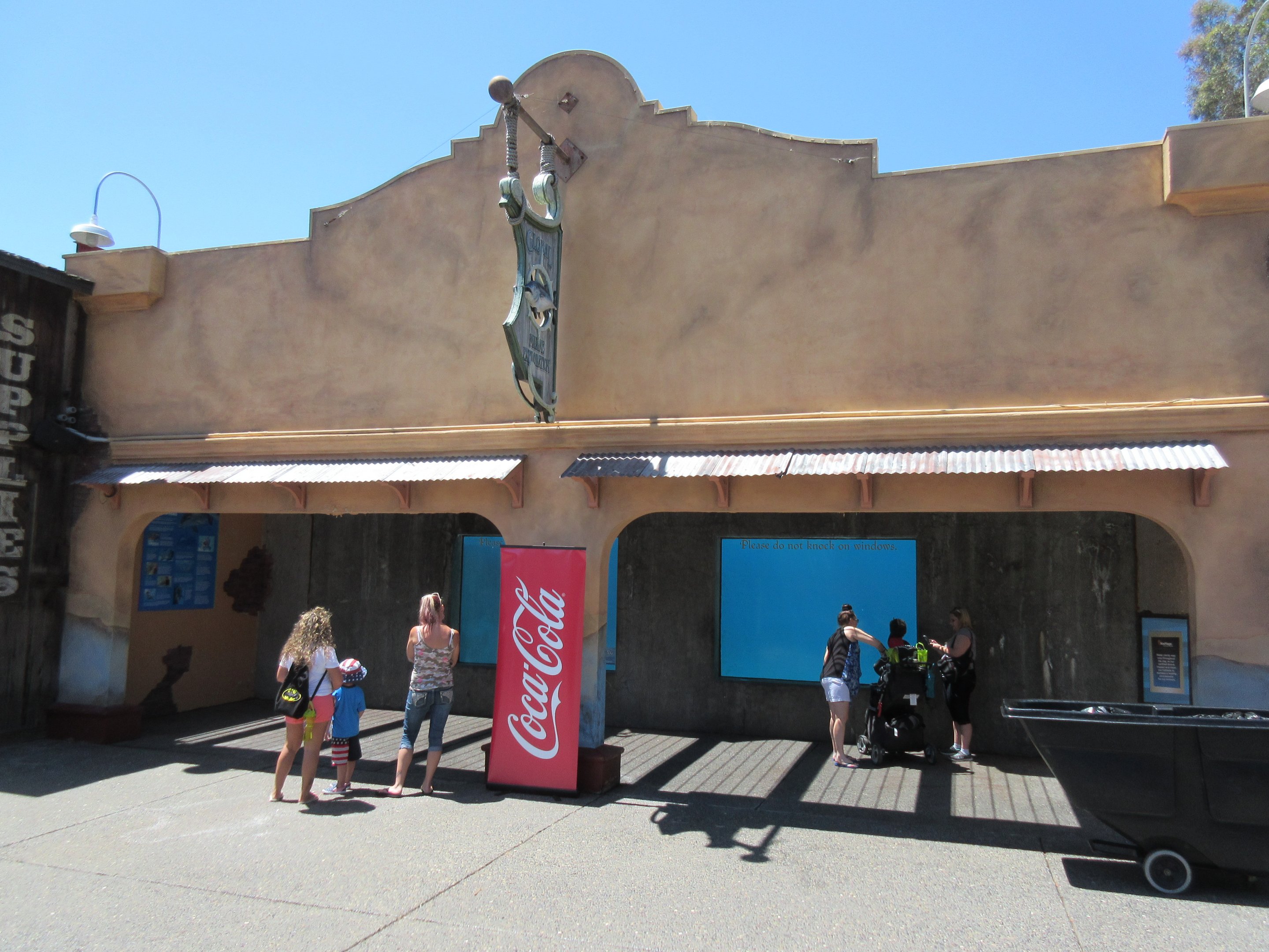 Bottlenose Dolphin Exhibit - underwater viewing area
