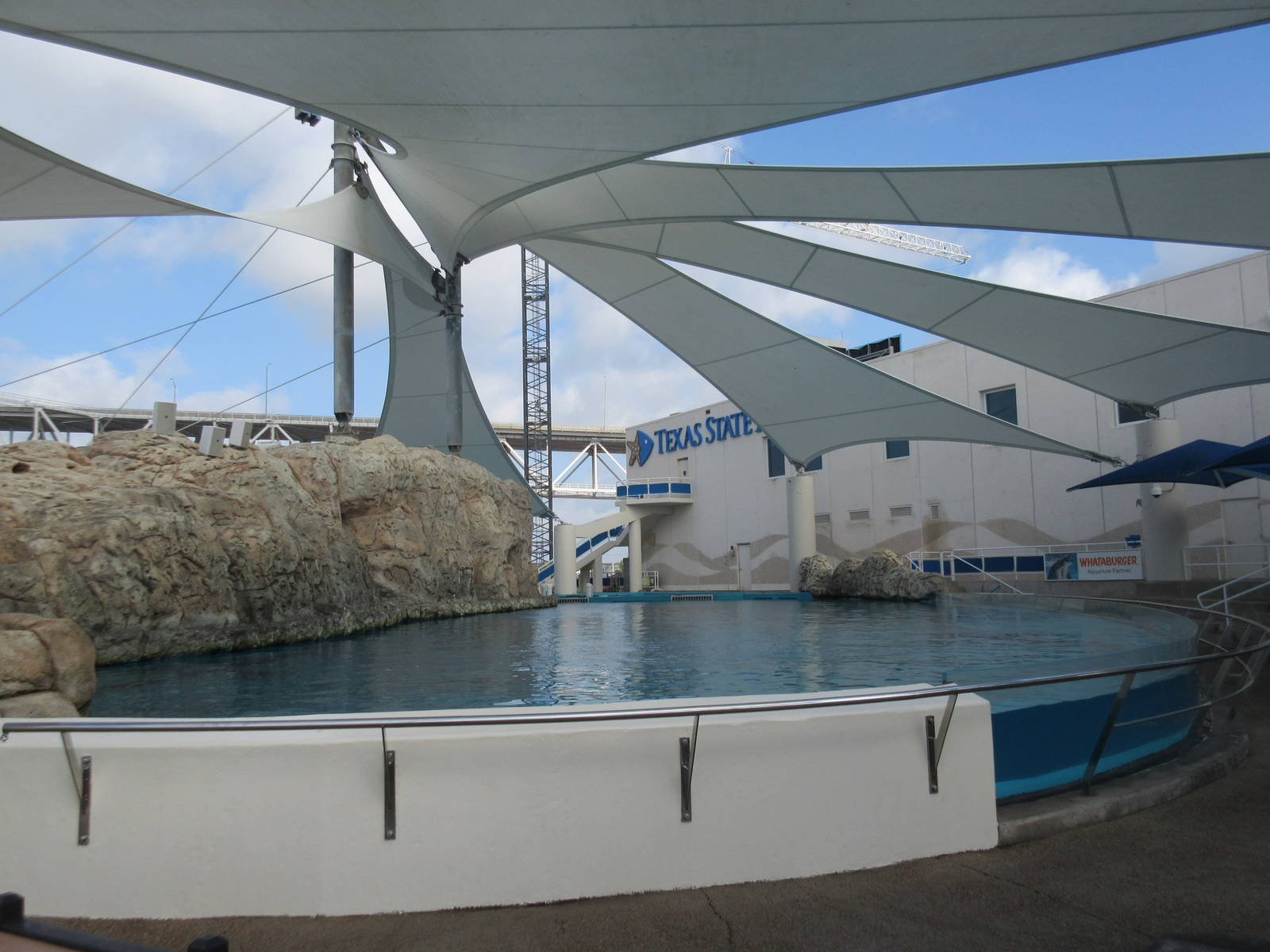 Bottlenose Dolphin Exhibit