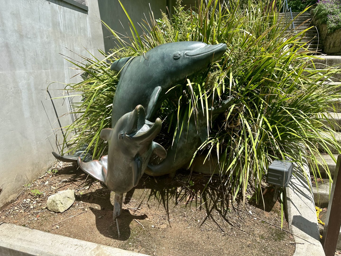 Bottlenose Dolphin Statue