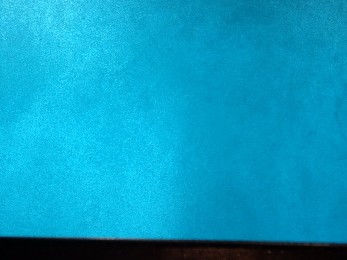 Bottlenose Dolphin Underwater Viewing