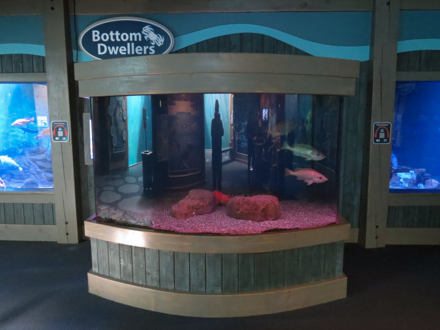 Bottom Dwellers Exhibit