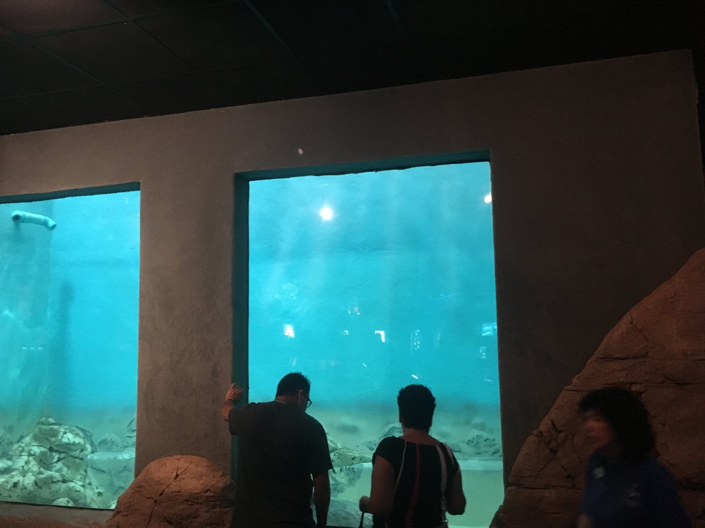 Bottom half of seal exhibit
