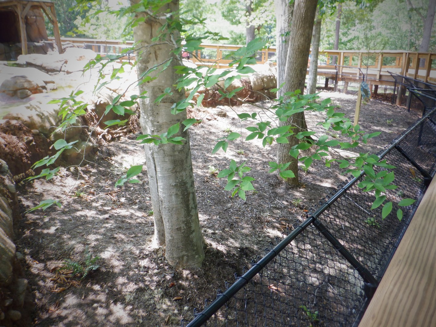 Bottom Half of the Pygmy Hippo Exhibit at the Greensboro Science Center