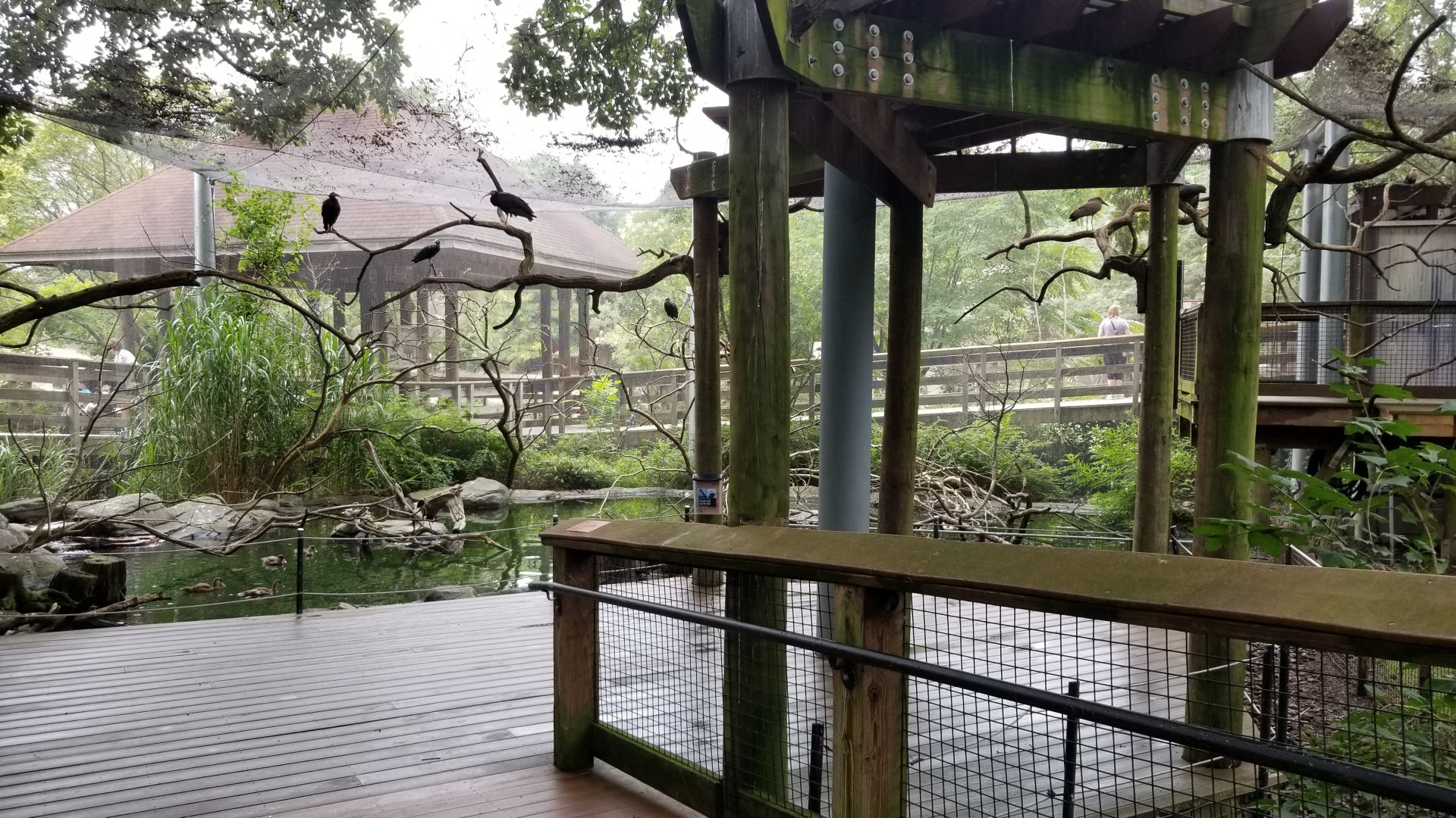 Bottom of African aviary