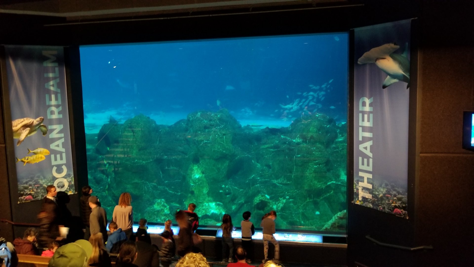 Bottom window of hammerhead tank