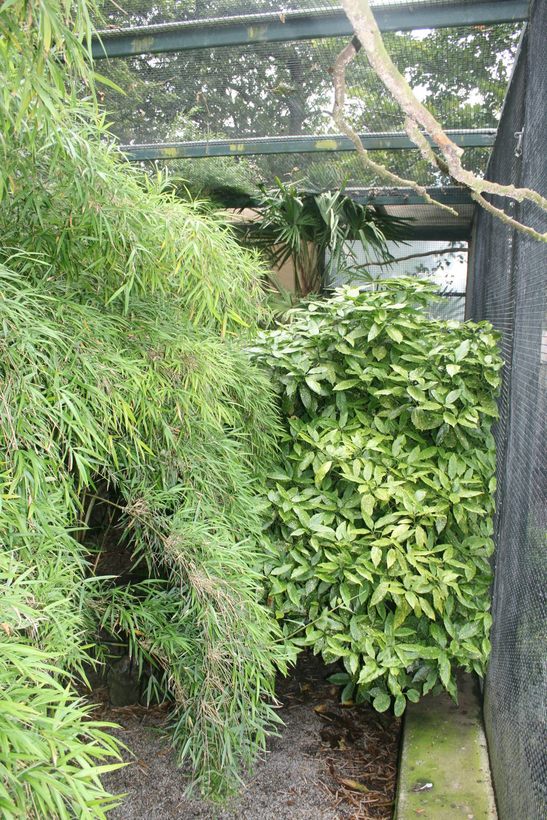 Botton Garden Aviary