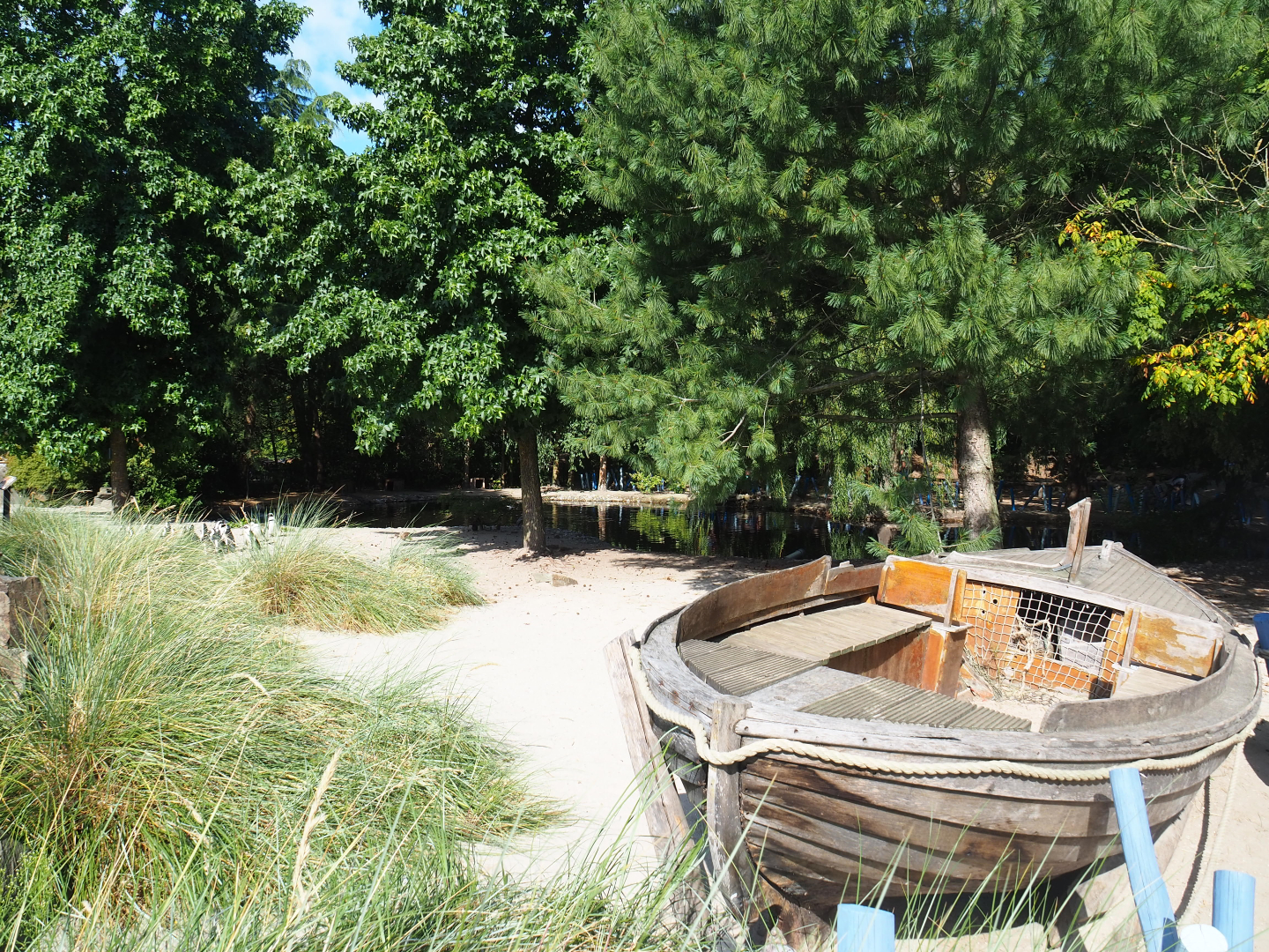 Boulders Beach - African black-footed penguin exhibit, 2019-06