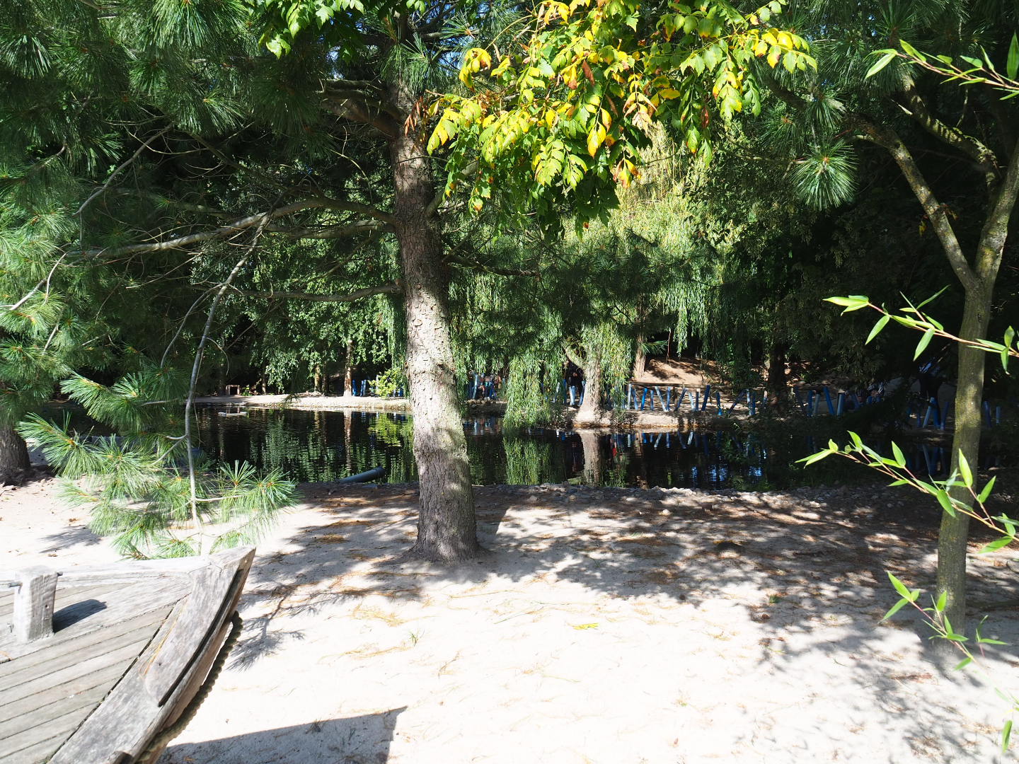 Boulders Beach - African black-footed penguin exhibit, 2019-06