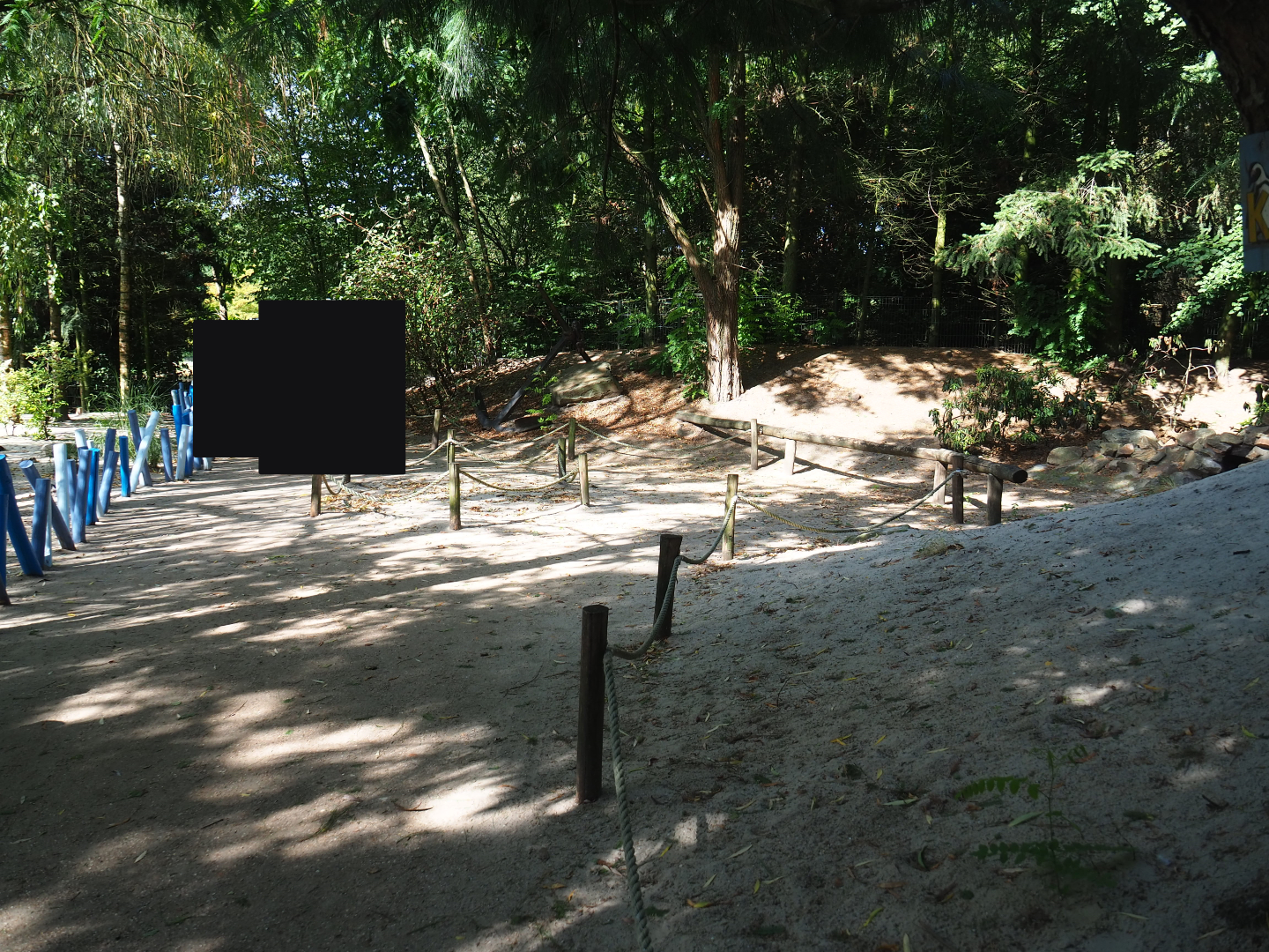 Boulders Beach - African black-footed penguin walk-through exhibit, 2019-08-11