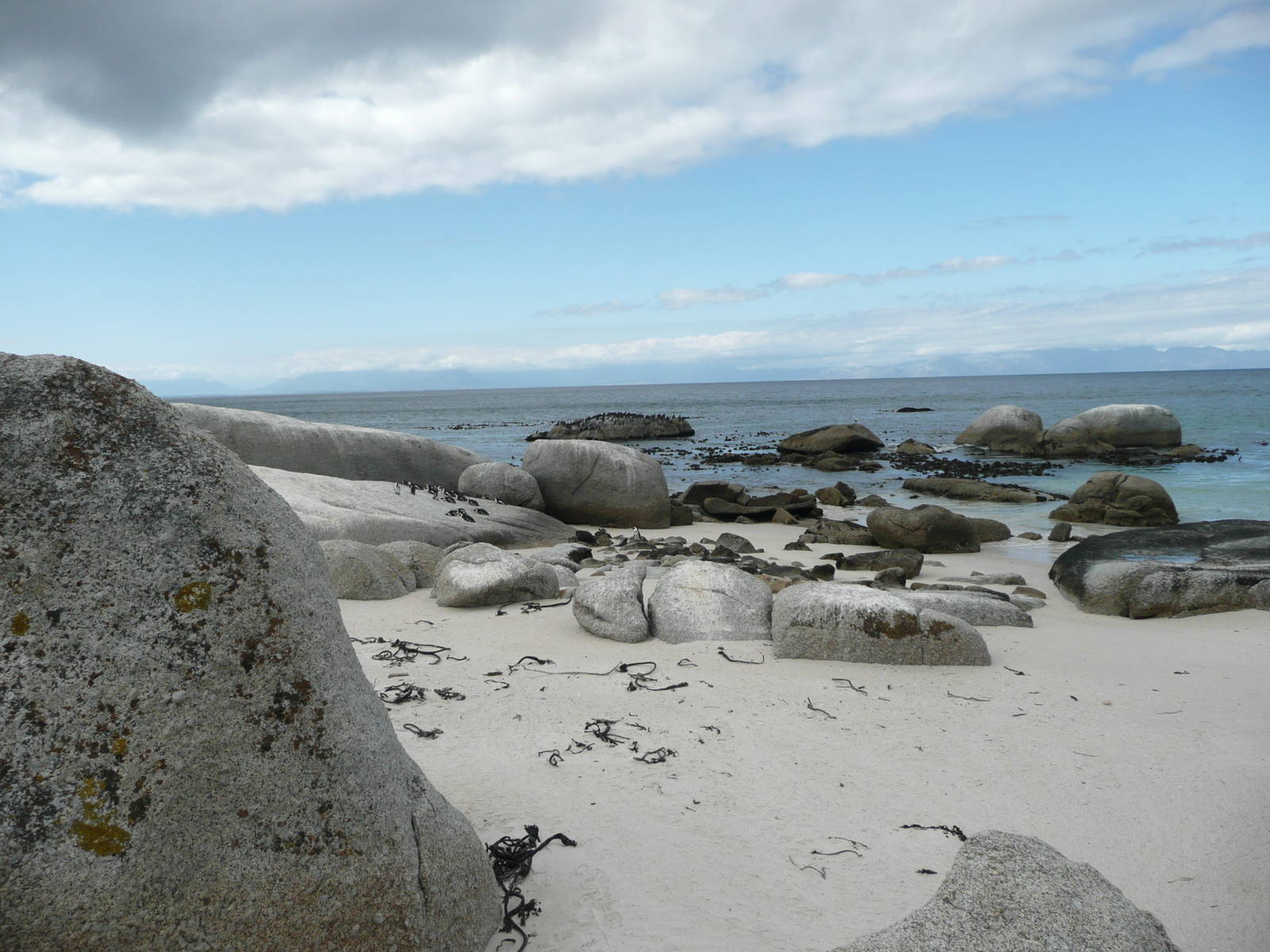 Boulders Beach , Cape Peninsula .