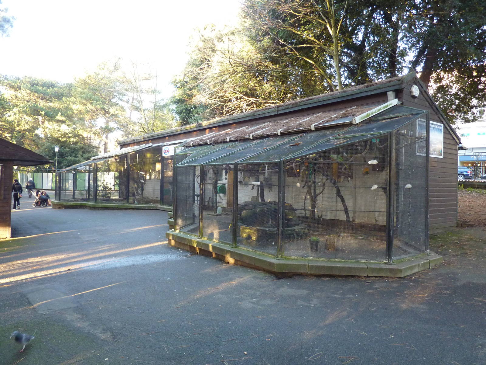Bournemouth Gardens Aviary, December 2012.