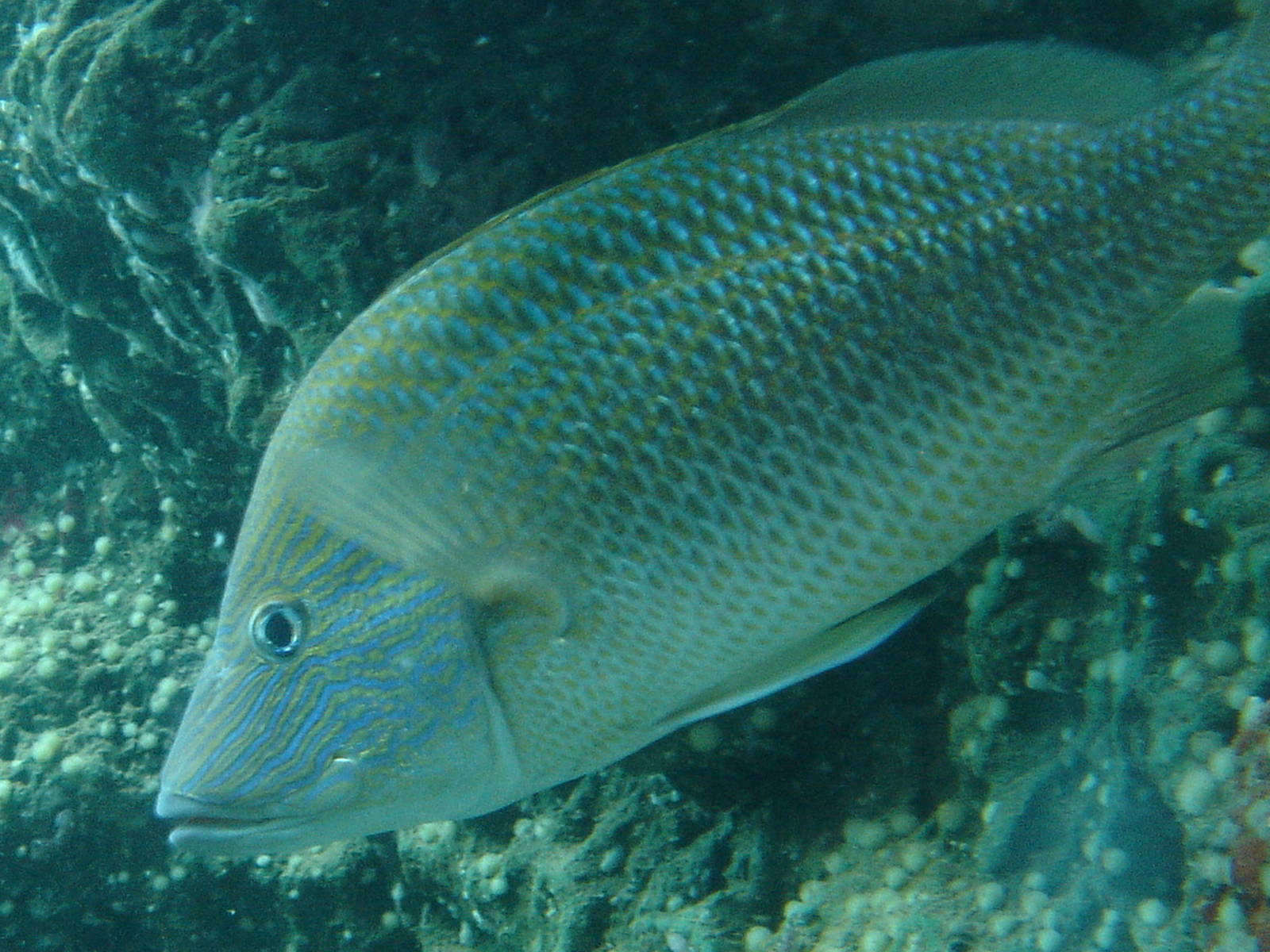 Bournemouth Oceanarium