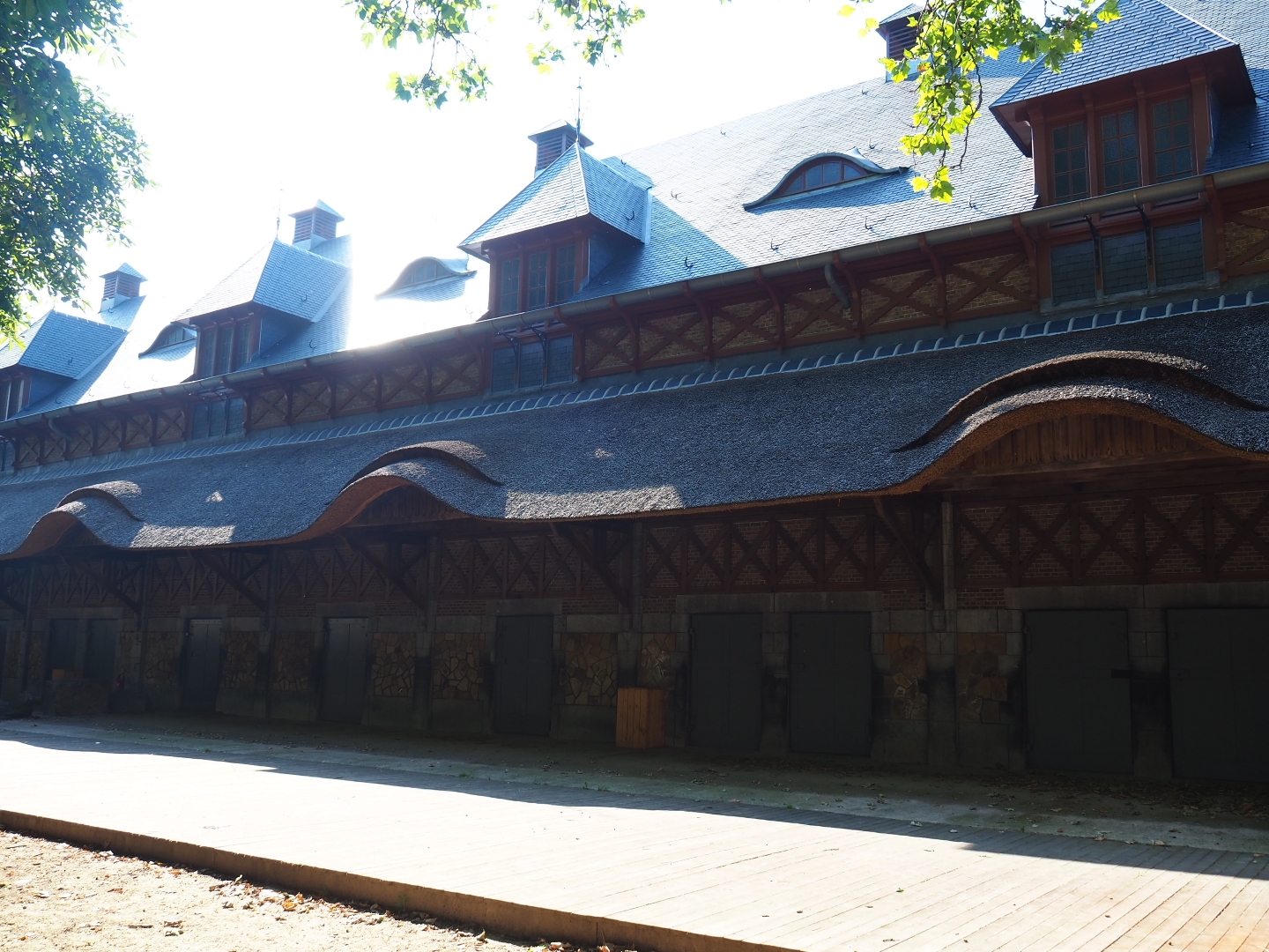 Bovine house, 2019-06-22