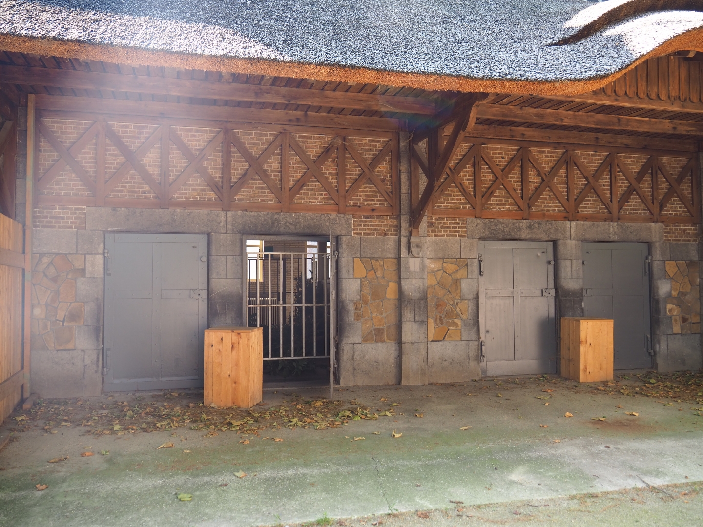 Bovine house, 2019-06-22