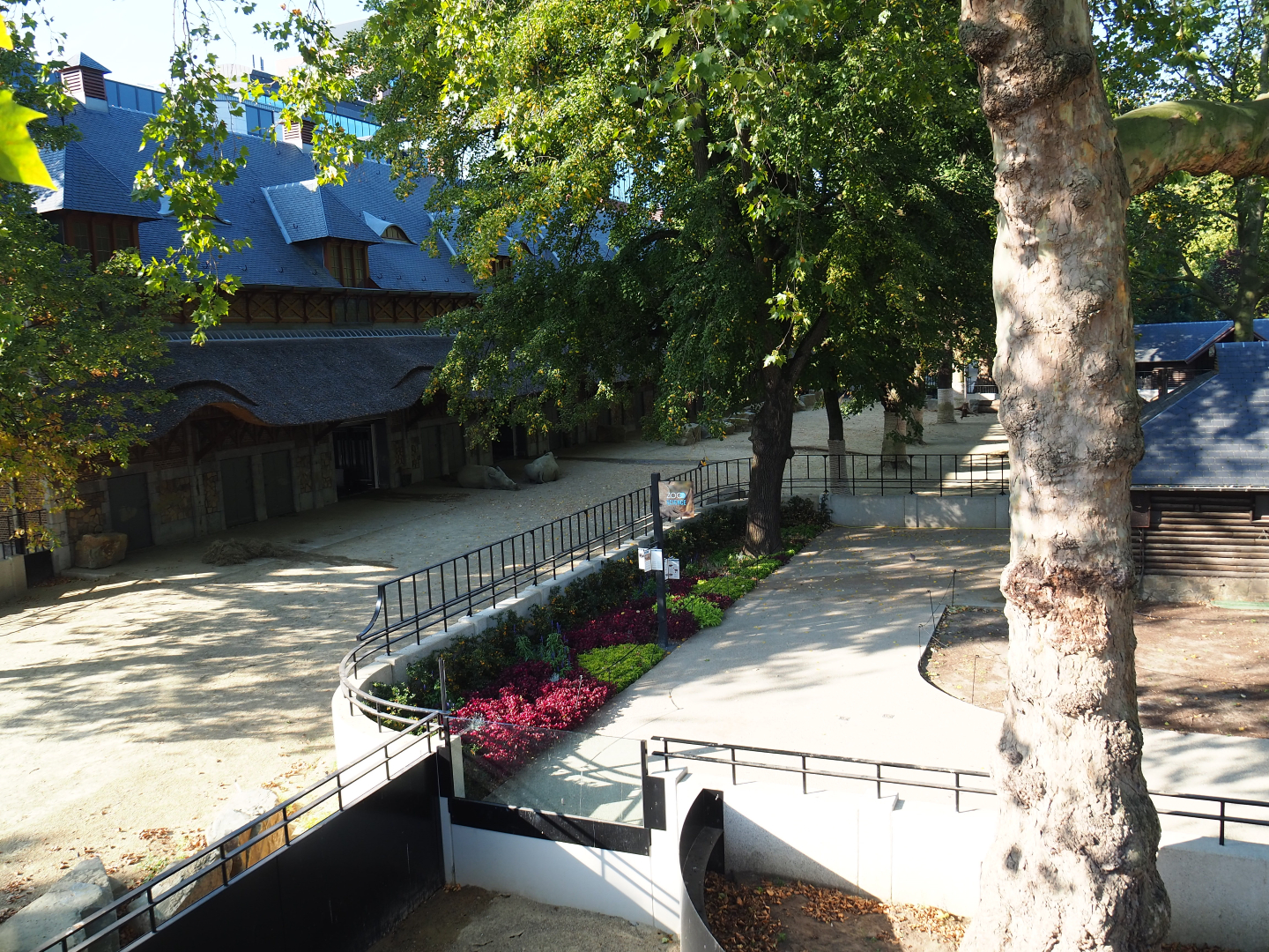 Bovine house, Part of the Southern white rhinoceros paddock and Viewing area, 2020-09-20