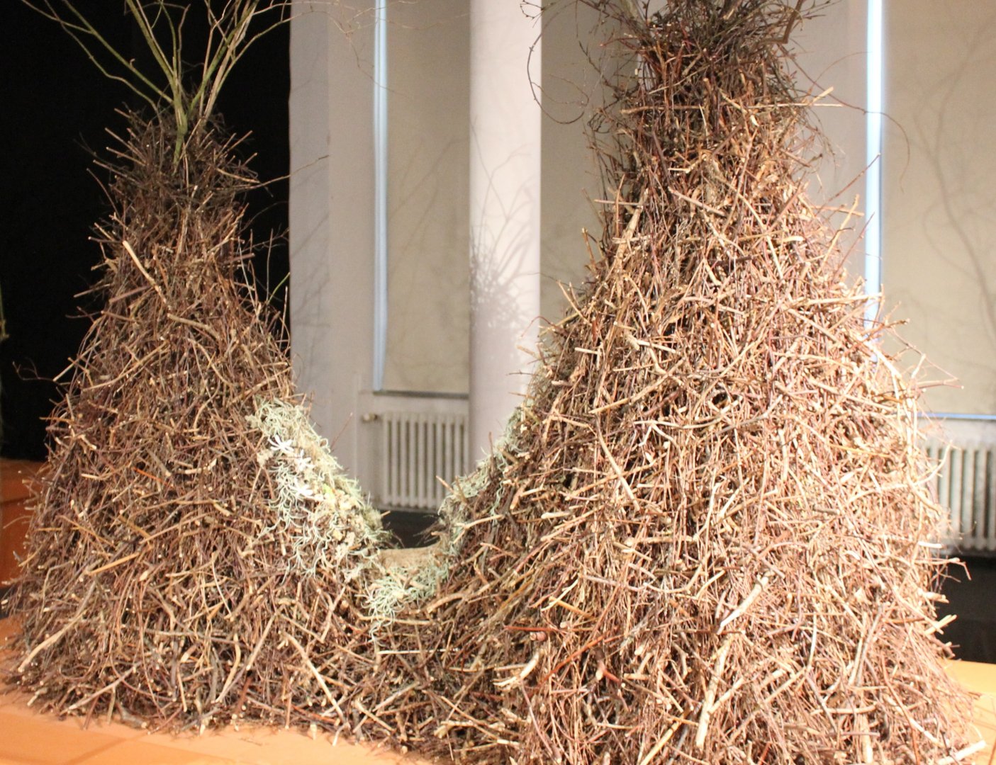 Bower Golden bowerbird