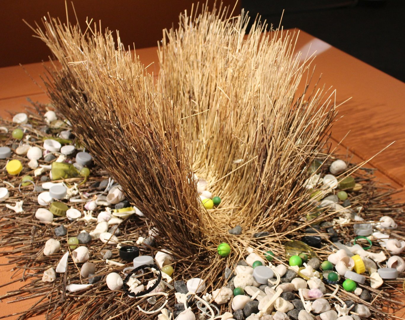 Bower Western bowerbird