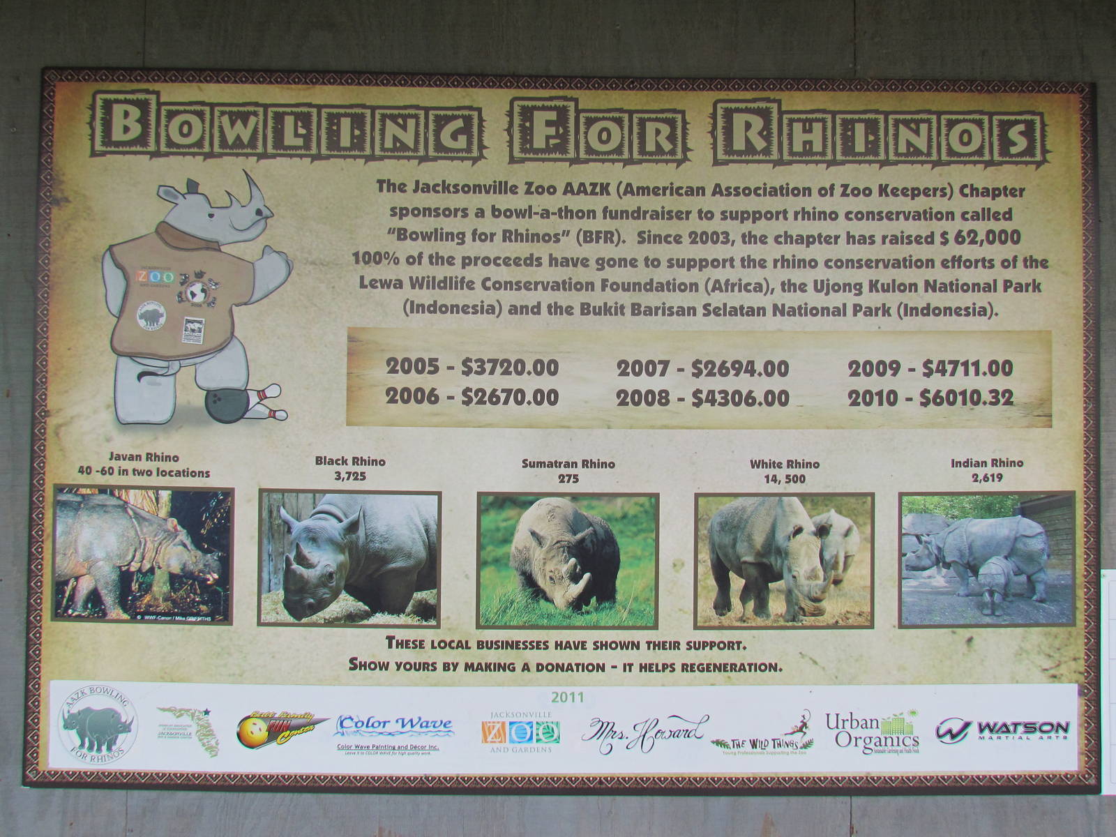 Bowling for Rhinos