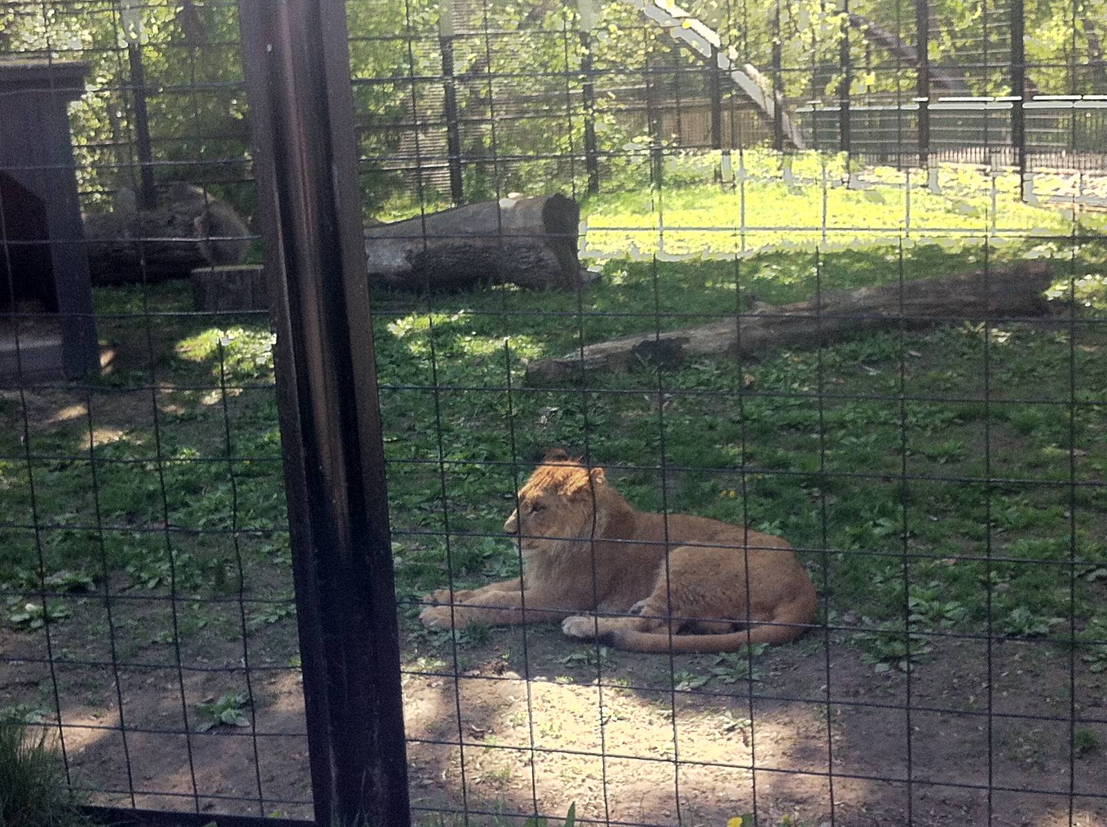 Bowmanville zoo-May 2015