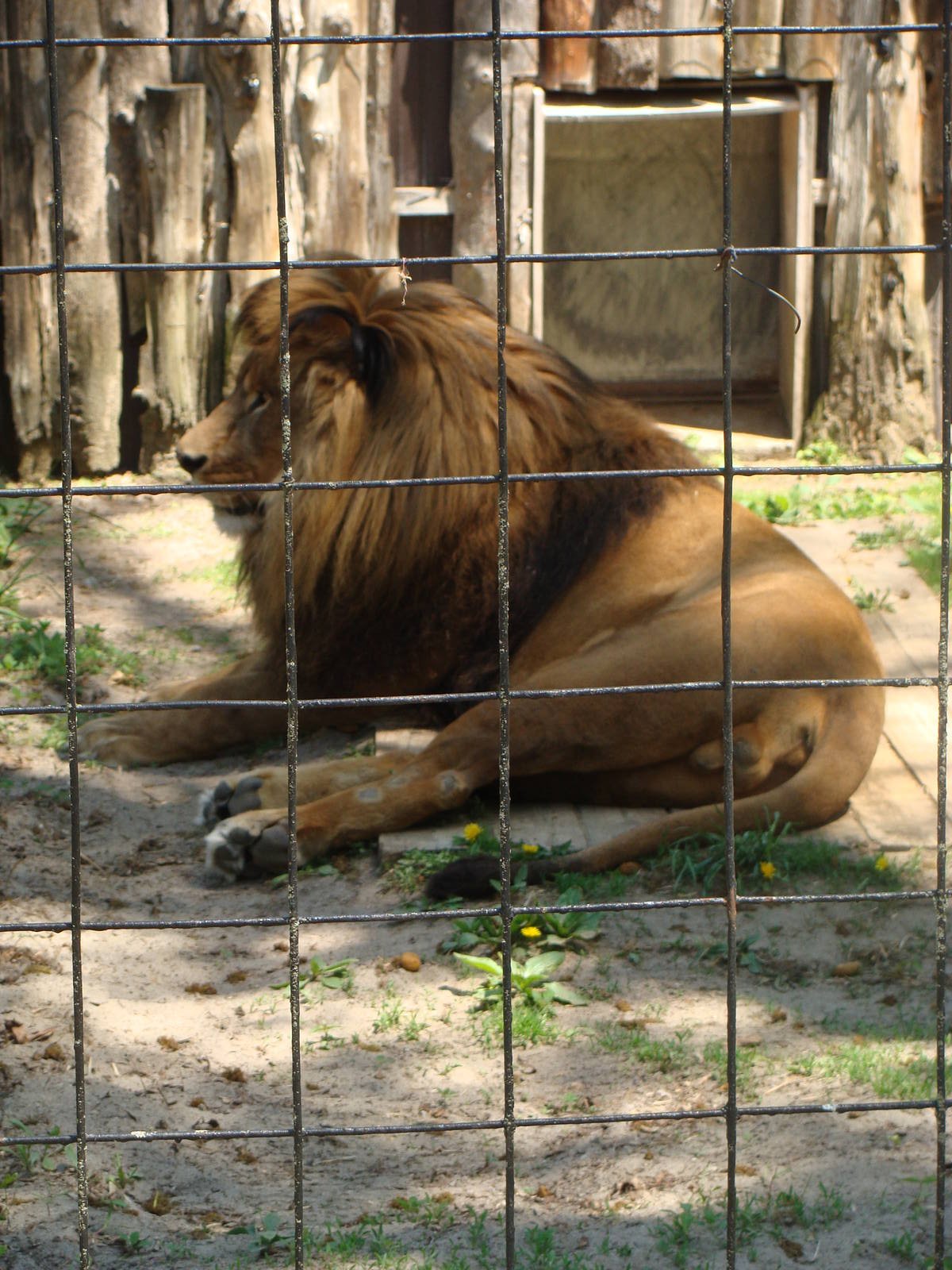Bowmanville zoo-May 2015