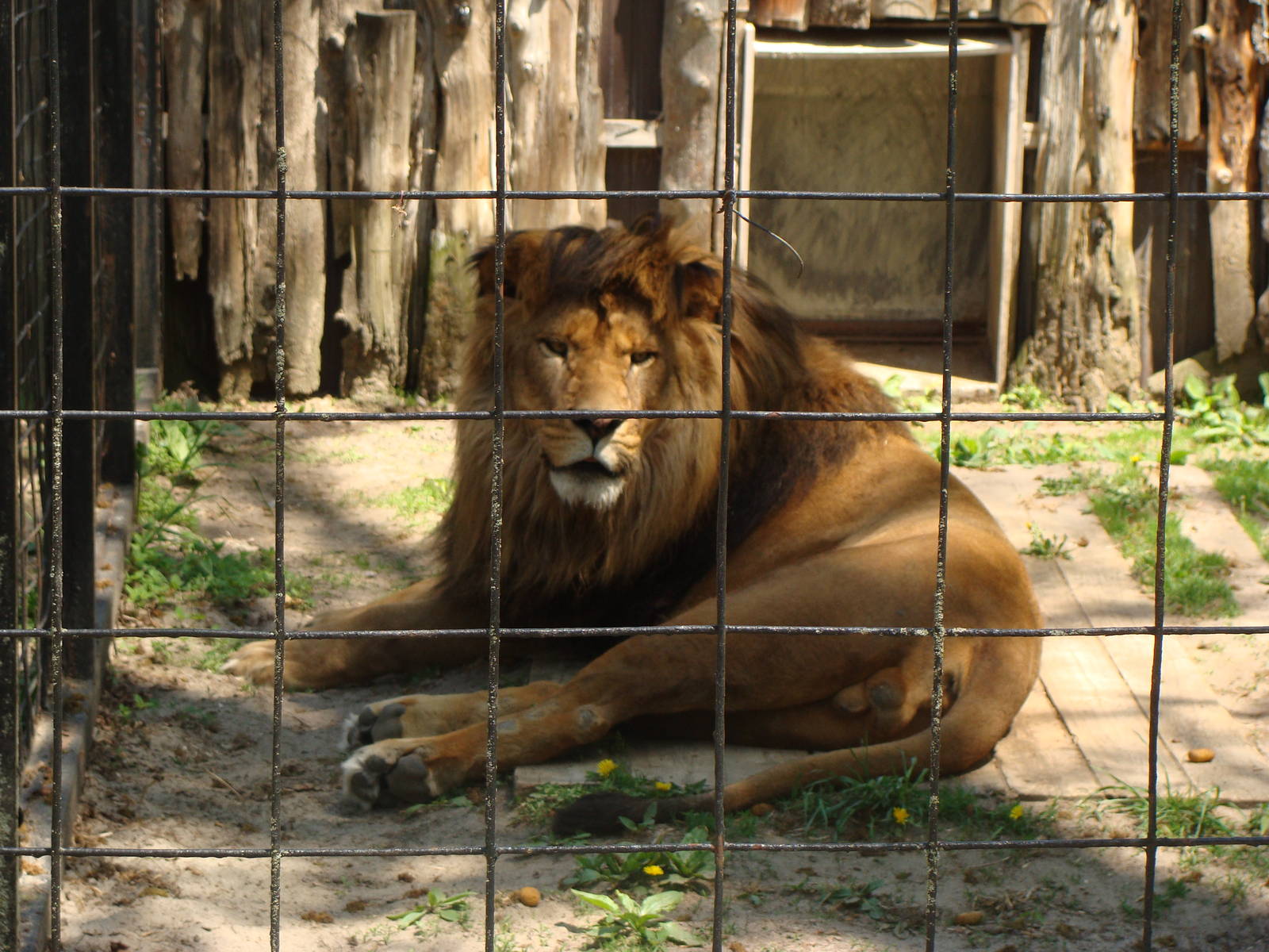 Bowmanville zoo-May 2015