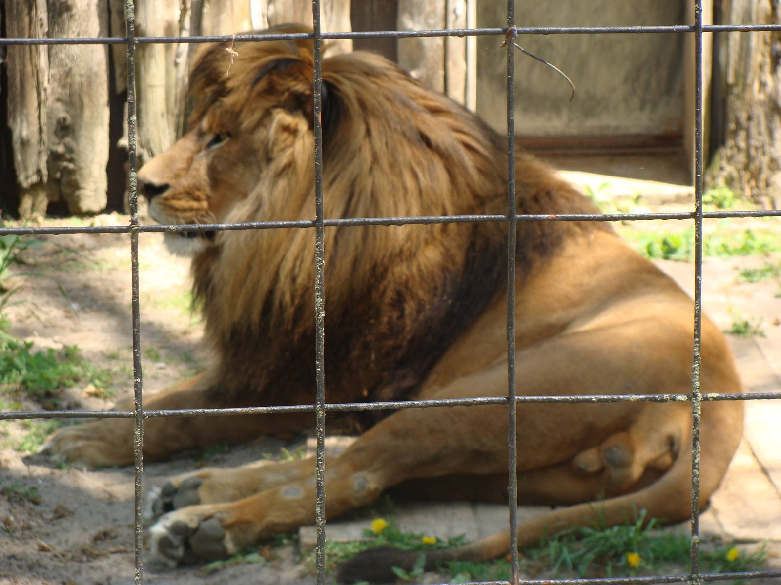 Bowmanville zoo-May 2015